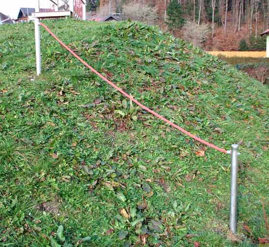 Seilaufstieg 300 cm, 2 Metallsteher verzinkt